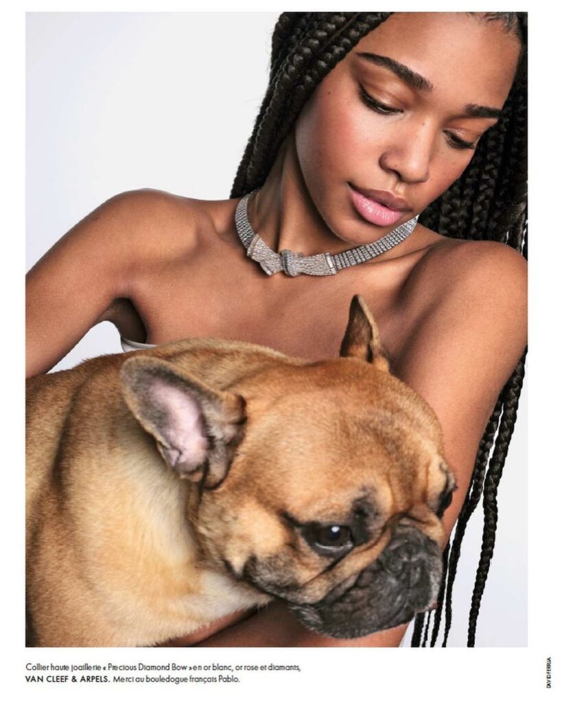 8fc736d6 d9a3 402a b320 4367967047c9